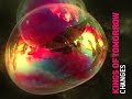 Kings Of Tomorrow - Changes [deep house]
