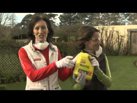 how to apply liquid weed n feed