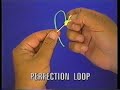Perfection Loop