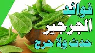  | موسوعة التراث الفلسطيني