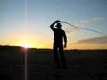 Bullwhip-Action II