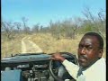 02Sept08 WildEarth a.m. Drive Video #2 lions chase lioness away