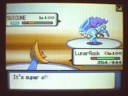 Wifi Battle VS Migu3Dias# Final of Pokeforum Championship!