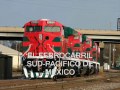 FERROMEX: FERROCARRIL MEXICANO