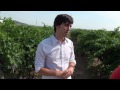 Cata de Vino y Cava PARÉS BALTÁ. Aquí cocinamos todos.