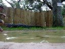 Adult alligator training in Orlando, Florida by Nathan Sweeting