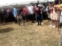 upward bound 2008 4th of july