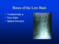 yoga anatomy - YouTube Low Back Anatomy with pinched nerves, disc ruptures&pain