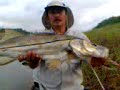 tuxpan robalo termoelectrica
