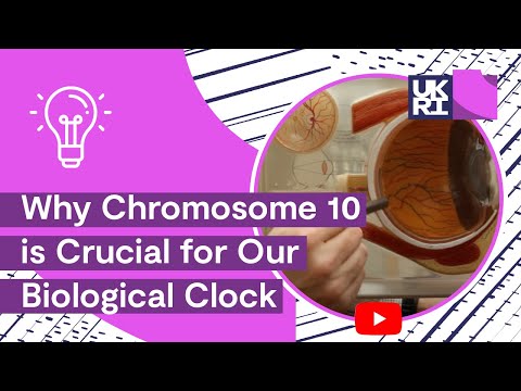 How the eye regulates your body clock: Ri Christmas Advent Calendar 2013 Chromosome 10