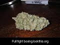 Jones Jr vs Green Stream