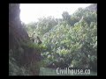 Cliff flip Cliff flip