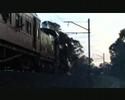 Hurstbridge Shuttles Part 2