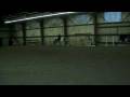 videos de Douley training after his eye surgery