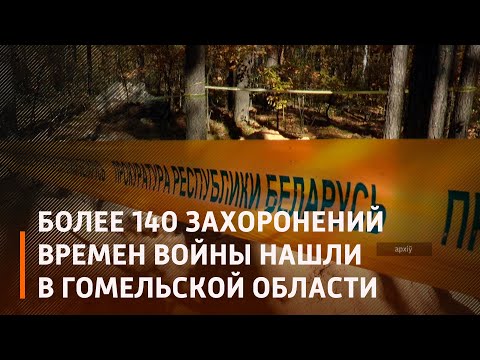 Более 140 мест массового расстрела и захоронения мирных граждан времен ВОВ обнаружили в Гомельской области видео
