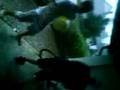 Fun :O