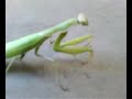 dont make me go kung fu on your ass!