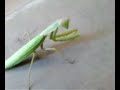 dont make me go kung fu on your ass!