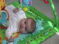 Ashlynn Working Out