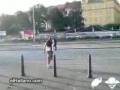videos de Un joven paticorto....