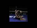 StephaneSimbaVigneault VS Curtis  Brigham