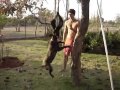 game dog 2