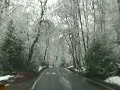 Video: EPPING FOREST. Early April 2008. dr15.