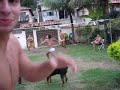 Torcedor europeu invade a final do Torneio CZM de Futvolei!