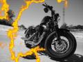 enviado por EXCALIBUR el Sun Feb 13 2011 a las 01:43pm