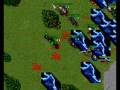 Kokoszycki Open Battle
