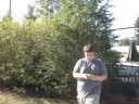 Survivorguy