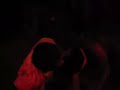 Guarro vs. Cobra