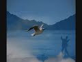 A New Zealand New Year