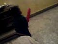 hero -
