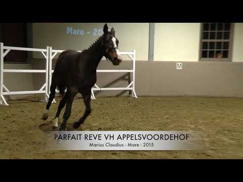 Parfait Reve vh Appelsvoordehof Presentation