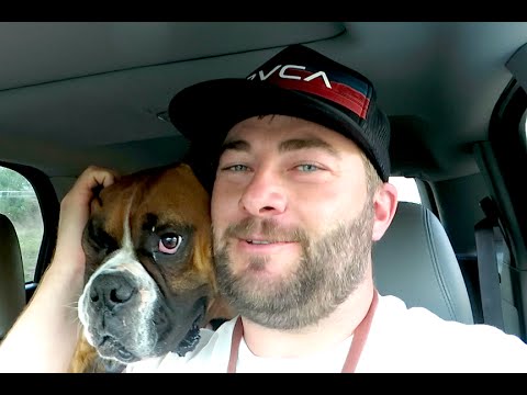 WE GOT OUR DOG BACK