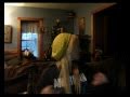 TABBY SINGING?!