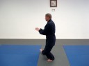 Grandmaster Tenzan Hirakawa Grandmaster Tenzan Hirakawa