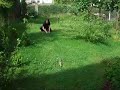 Poszukiwanie Szcz??cia