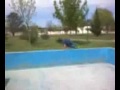 Parkour Luro