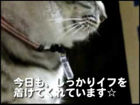 イフペンダント効果・口コミ・評判６