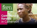 Community Forests in Cameroon
