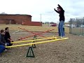 See Saw