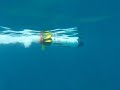 University of Zagreb's OceanServer Technologies AUV
