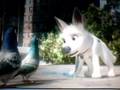 videos de bolt gets stuck