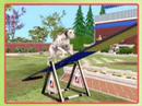The Sims Pet Stories - Alice Story - French