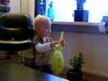 videos de bloemen water geven.AVI