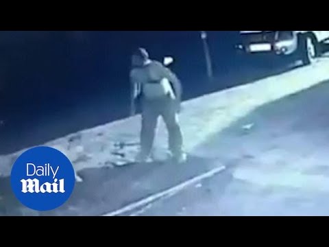 Αγρότης κυνηγά λιοντάρι με ένα ξύλο για να σώσει το κοπάδι του