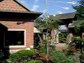videos de beautiful garden and beautiful wind mill