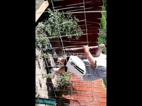 how to transplant into aquaponics